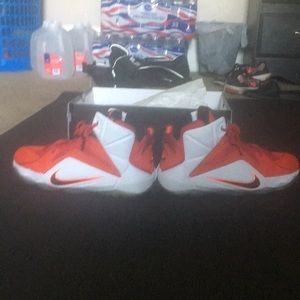 Lebron 12 “Heart of a Lion” 6.5 Y